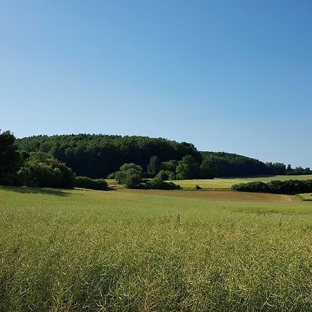 Ferienhaus Forstblick Betzenstein Zewnętrze zdjęcie