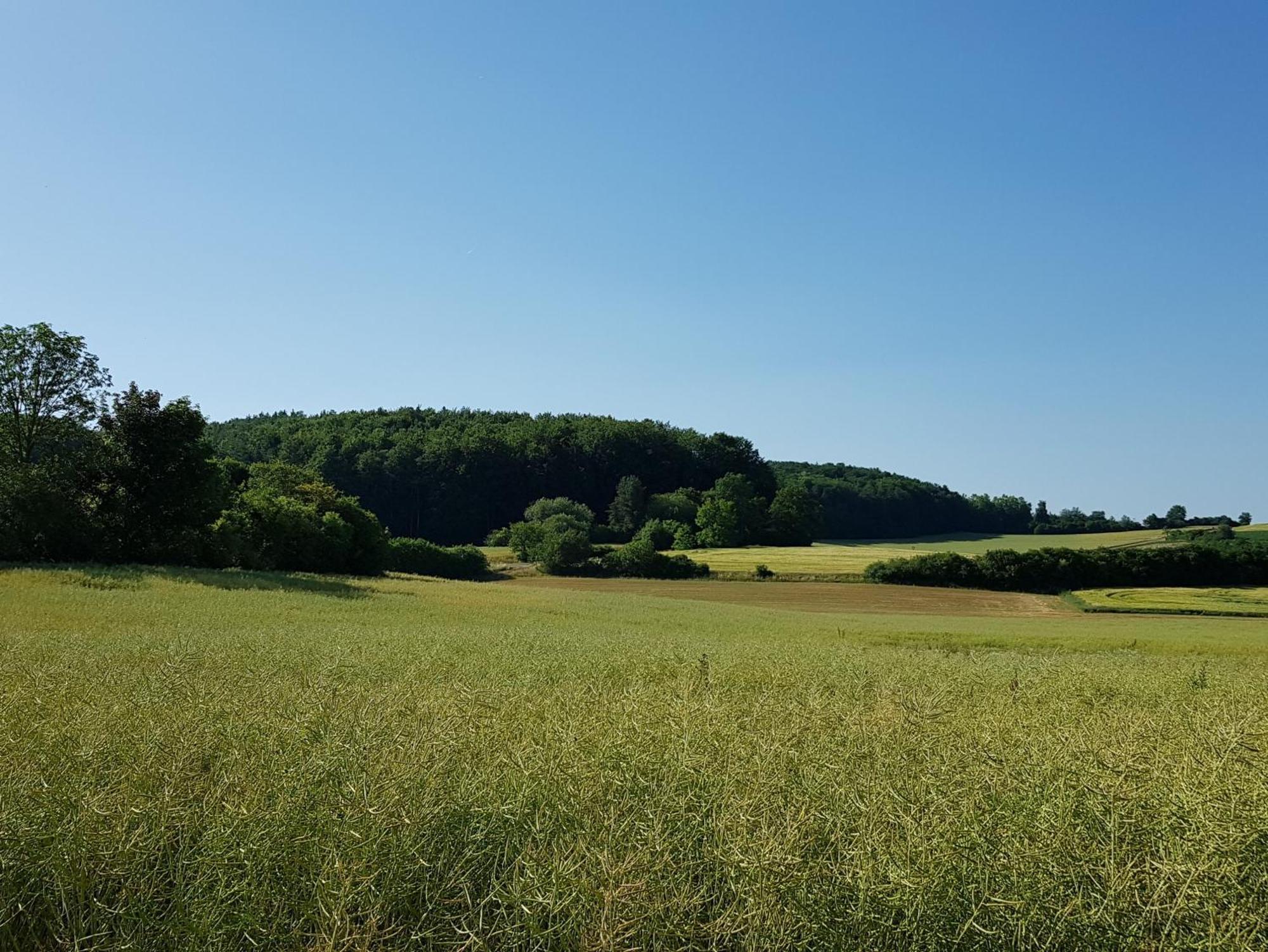 Ferienhaus Forstblick Betzenstein Zewnętrze zdjęcie