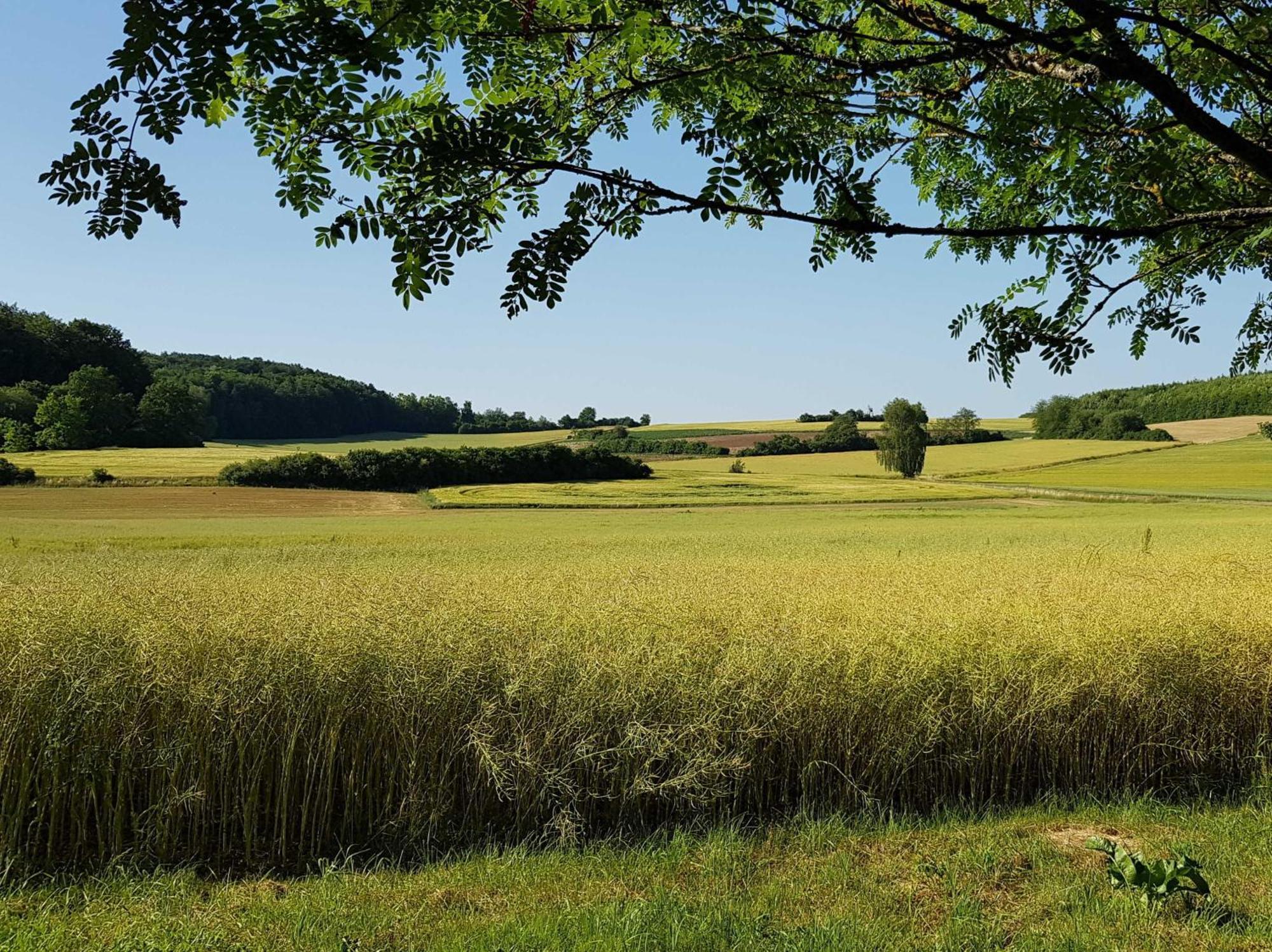 Ferienhaus Forstblick Betzenstein Zewnętrze zdjęcie